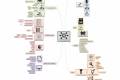 Öffnen Mind Mapping Presentation held on June 21st, 2022.pdf.pptx